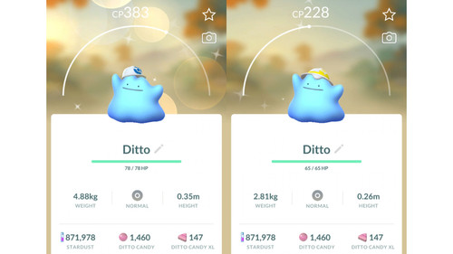 Shiny idem - (schillernd),