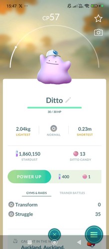 Ditto wearing cap non - a, shiny