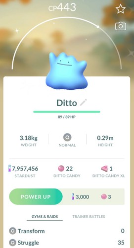 Pokemon shiny ditto - 🌟pokemon,
