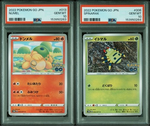 Psa numel spinarak - 10,