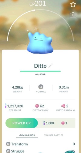 Pokémon shiny ditto - ✨️pokémon, go