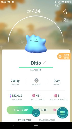 Pokemon shiny ditto registrato - shiny,