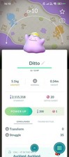 Ditto Wearing A Hat Background