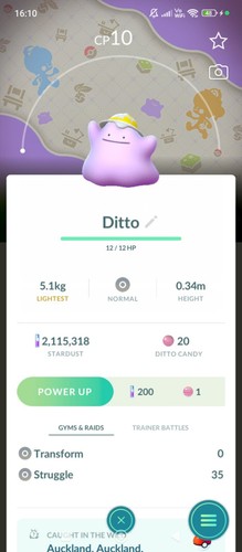 Ditto wearing hat - hat, background