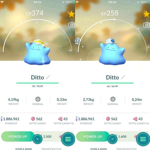 Pokemon shiny ditto indossare - shiny,