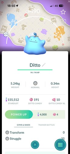 Shiny ditto wearing - shiny,