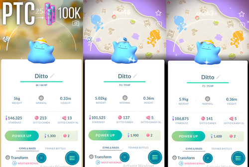 Shiny ditto special pokopia - special,