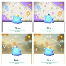 Idem lucido con cappello blu o