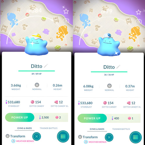 Shiny ditto special pokopia - bg,