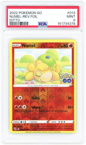 Numel peelable ditto 2022 - numel,