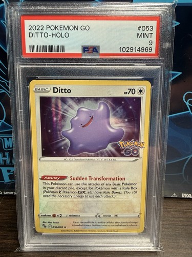 2022 pokemon 053 - go, #053