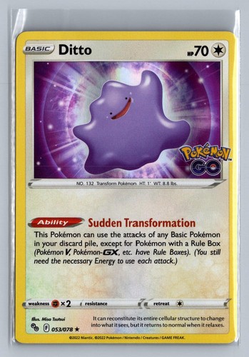 Idem 053 078 holo raro - holo,