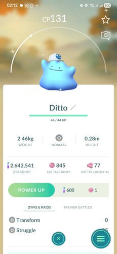 Shiny ditto - (cappello, blu)