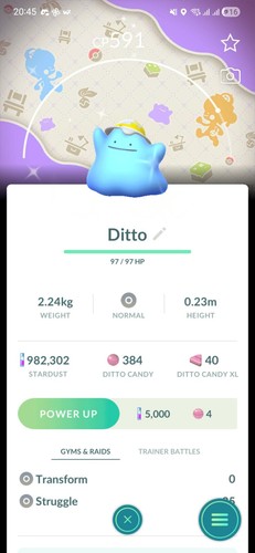 Shiny ditto cappello - shiny, giallo