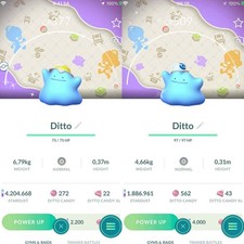 Pokemon Shiny Ditto Wearing a