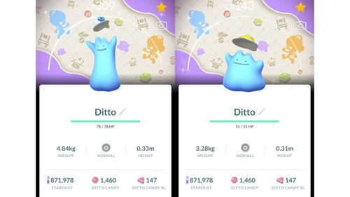 Shiny ditto - ✨shiny,