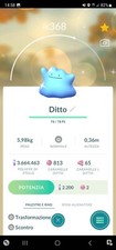 DITTO SHINY POKEMON GO