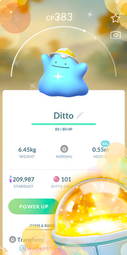 Shiny ditto con cappello - shiny,