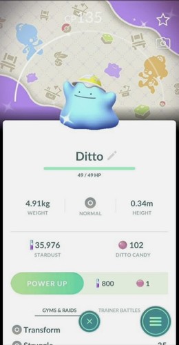 Shiny ditto wearing - shiny, a