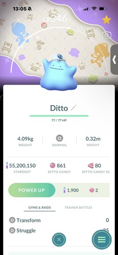 Pokemon shiny ditto hat - pokemon,