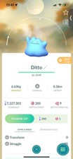 Pokemon Go Shiny Ditto 