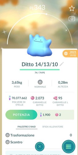 Ditto shiny rare pokemon go - ditto,