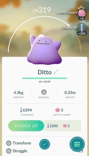Pokemon ditto catch - catch,