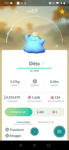Shiny ditto wearing hat - a,