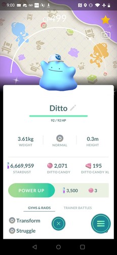 Shiny ditto wear - shiny, a