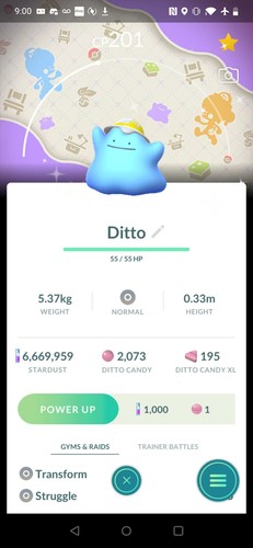 Shiny ditto indossa - indossa, un