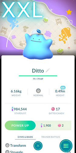 Shiny ditto special pokopia - bg,
