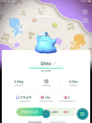 Shiny ditto che indossa - (che,