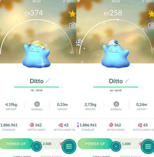 Pokemon Shiny Ditto Indossare