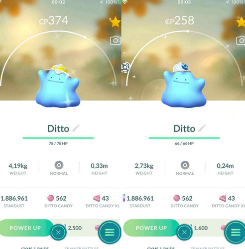 Pokemon shiny ditto - ditto, indossare