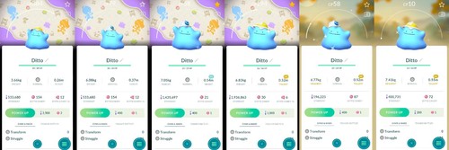 Shiny ditto special pokopia - ditto, bg