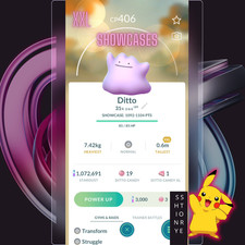 Idem XXL, per vincere vetrine